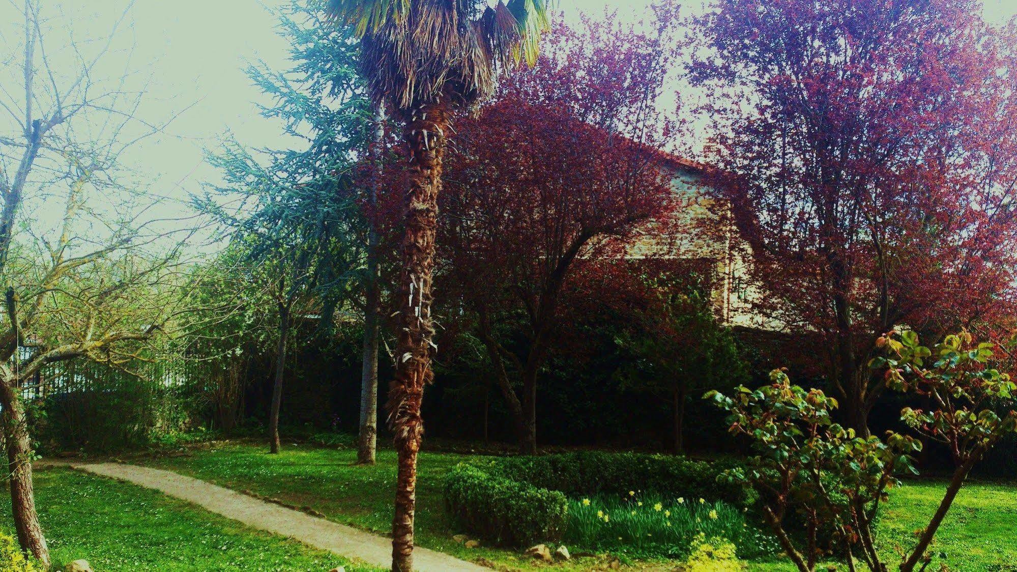 Palacio de los Alvarado El Ribero Exterior foto